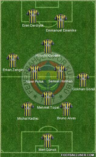 Fenerbahçe SK Formation 2013