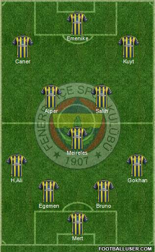 Fenerbahçe SK Formation 2013