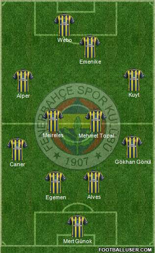 Fenerbahçe SK Formation 2013