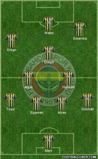 Fenerbahçe SK Formation 2013