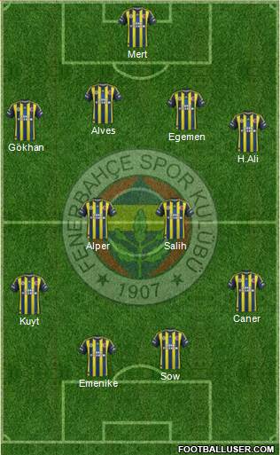 Fenerbahçe SK Formation 2013