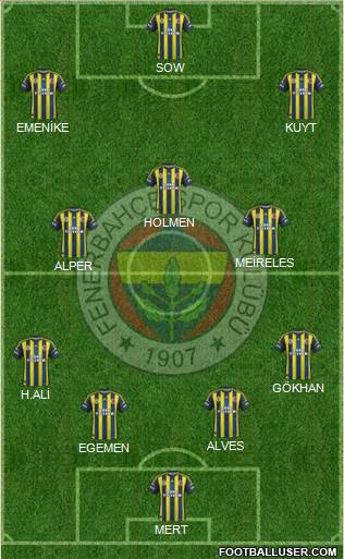 Fenerbahçe SK Formation 2013