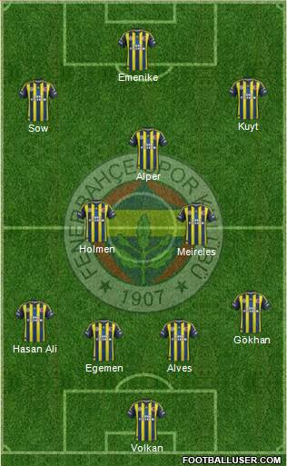 Fenerbahçe SK Formation 2013