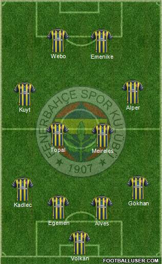 Fenerbahçe SK Formation 2013