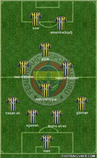 Fenerbahçe SK Formation 2013