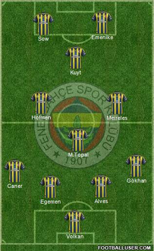 Fenerbahçe SK Formation 2013