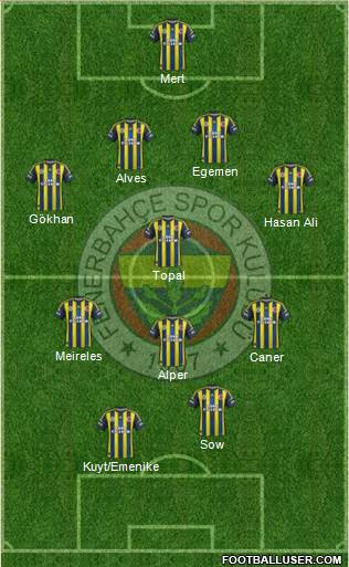 Fenerbahçe SK Formation 2013
