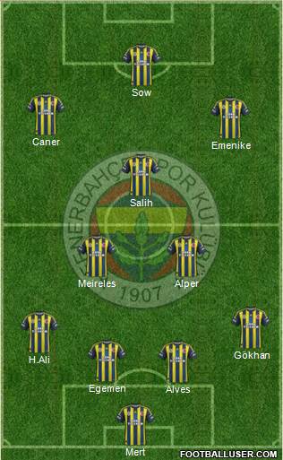Fenerbahçe SK Formation 2013
