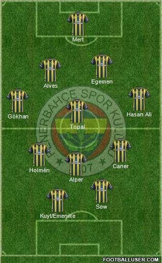Fenerbahçe SK Formation 2013