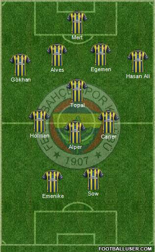 Fenerbahçe SK Formation 2013