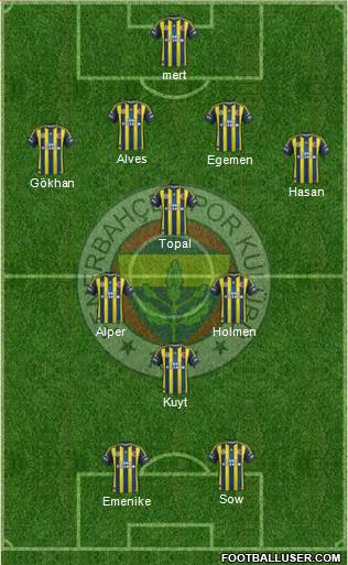 Fenerbahçe SK Formation 2013