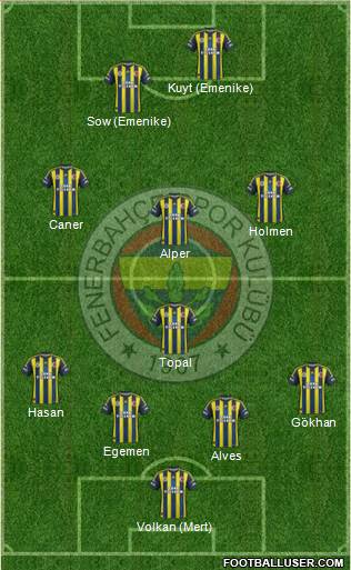 Fenerbahçe SK Formation 2013
