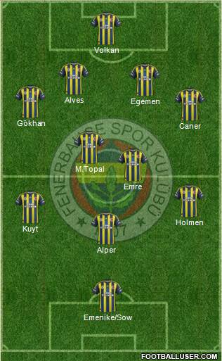 Fenerbahçe SK Formation 2013