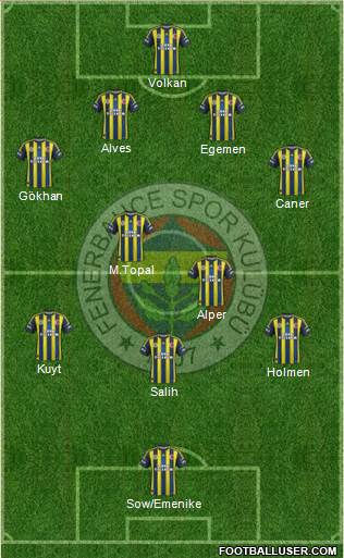Fenerbahçe SK Formation 2013