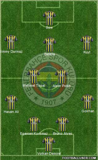 Fenerbahçe SK Formation 2013
