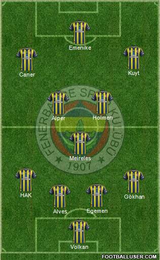 Fenerbahçe SK Formation 2013