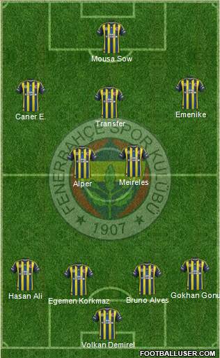 Fenerbahçe SK Formation 2013