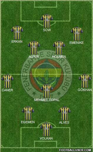 Fenerbahçe SK Formation 2013