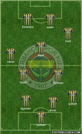 Fenerbahçe SK Formation 2013
