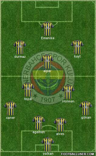 Fenerbahçe SK Formation 2013