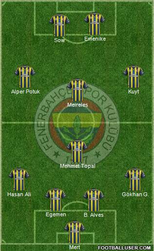 Fenerbahçe SK Formation 2013