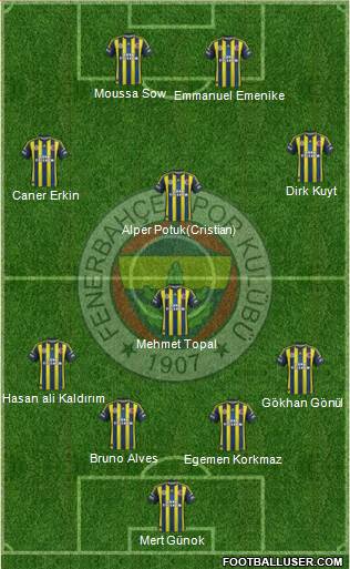 Fenerbahçe SK Formation 2013