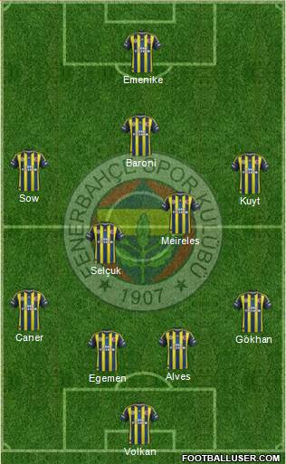 Fenerbahçe SK Formation 2013