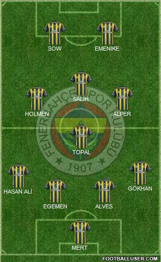 Fenerbahçe SK Formation 2013