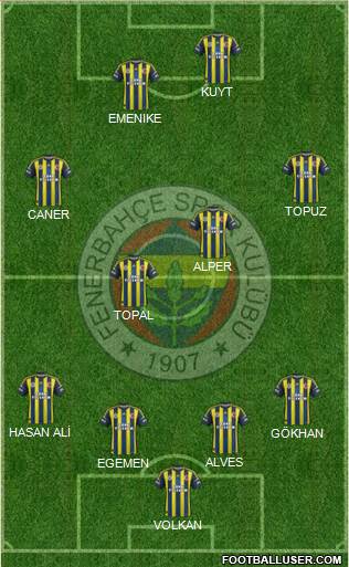 Fenerbahçe SK Formation 2013