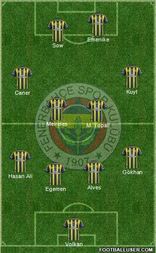 Fenerbahçe SK Formation 2013