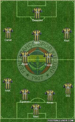 Fenerbahçe SK Formation 2013