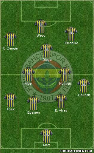 Fenerbahçe SK Formation 2013