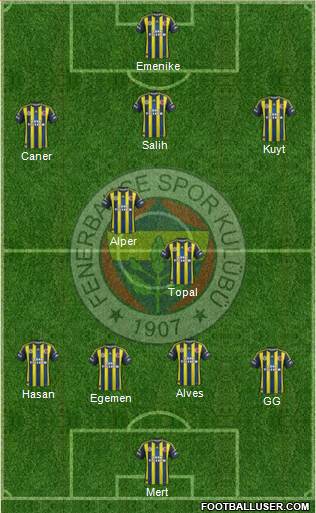 Fenerbahçe SK Formation 2013