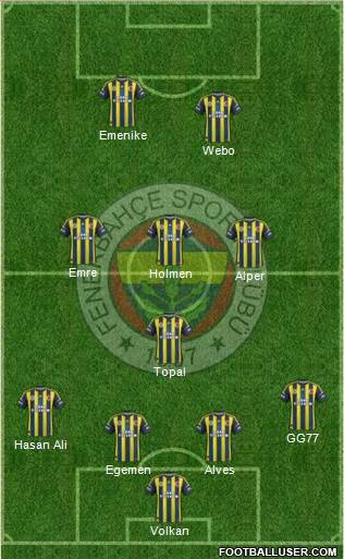 Fenerbahçe SK Formation 2013