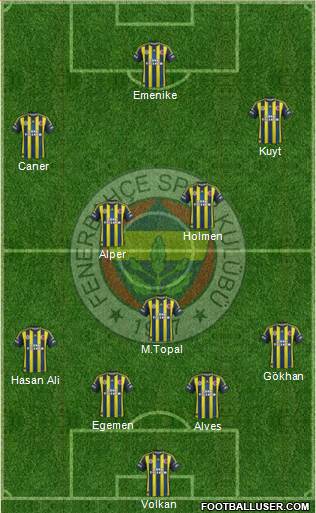Fenerbahçe SK Formation 2013