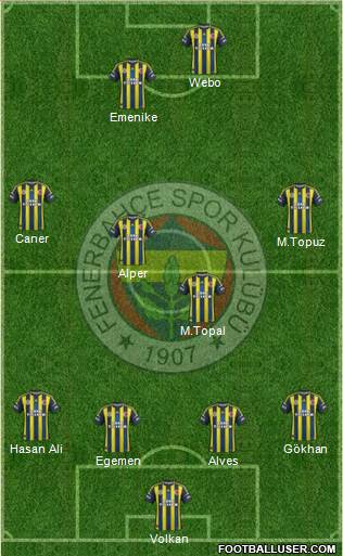 Fenerbahçe SK Formation 2013