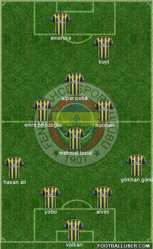 Fenerbahçe SK Formation 2013