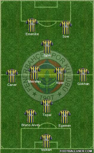 Fenerbahçe SK Formation 2013