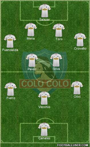CSD Colo Colo Formation 2013