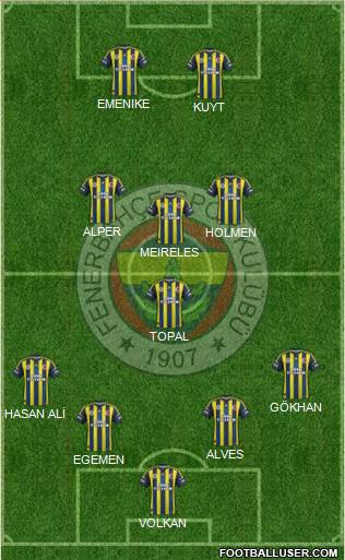 Fenerbahçe SK Formation 2013