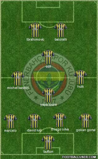 Fenerbahçe SK Formation 2013