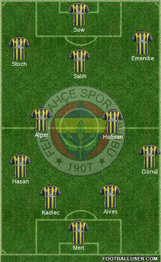 Fenerbahçe SK Formation 2013