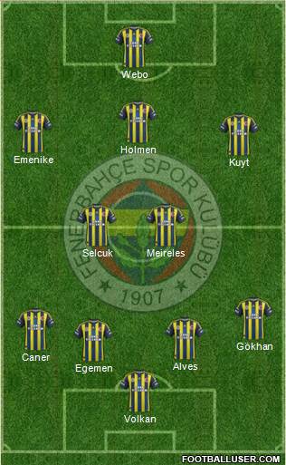 Fenerbahçe SK Formation 2013