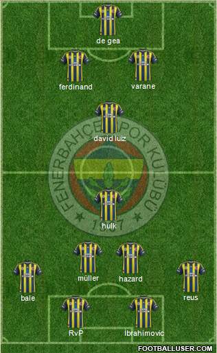 Fenerbahçe SK Formation 2013