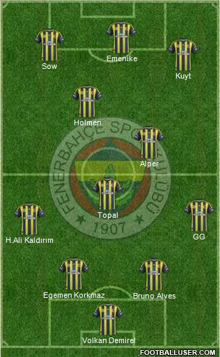 Fenerbahçe SK Formation 2013