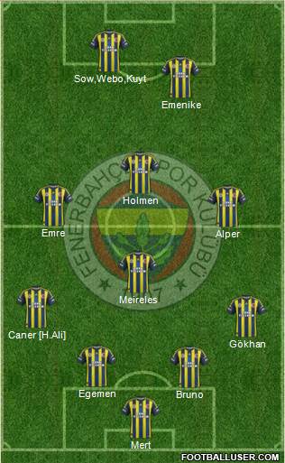 Fenerbahçe SK Formation 2013