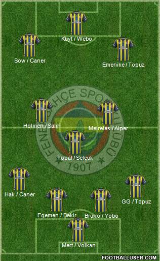 Fenerbahçe SK Formation 2013
