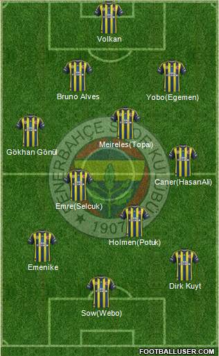 Fenerbahçe SK Formation 2013