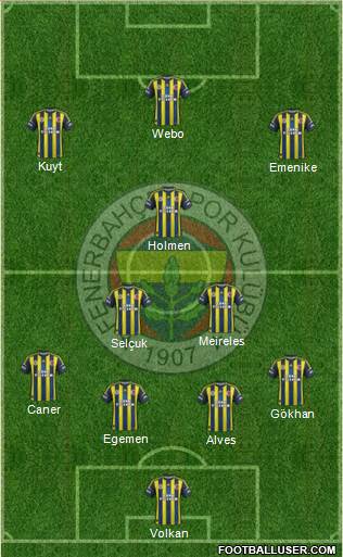 Fenerbahçe SK Formation 2013