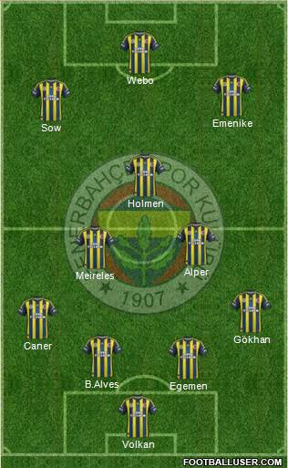Fenerbahçe SK Formation 2013